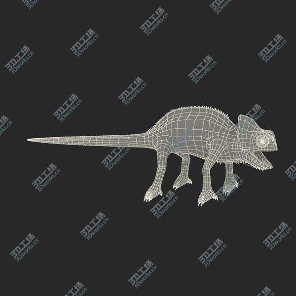 images/goods_img/20210312/Chameleon Rigged for Cinema 4D/3.jpg